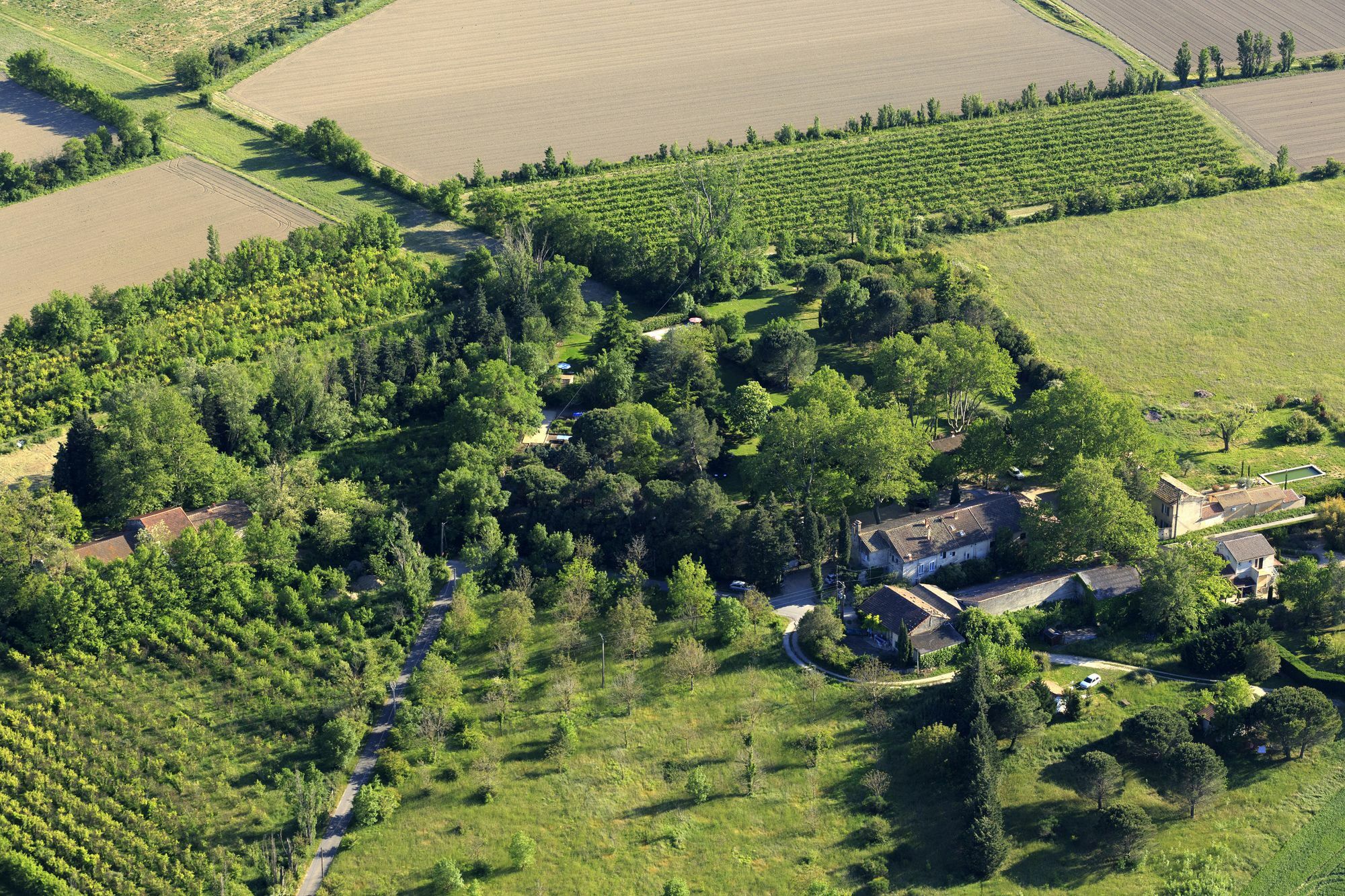 Les Gites Du Domaine De Rhodes Avignon Exterior photo